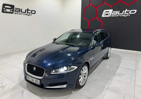 jaguar xf lubelskie Jaguar XF cena 35700 przebieg: 206042, rok produkcji 2013 z Drezdenko